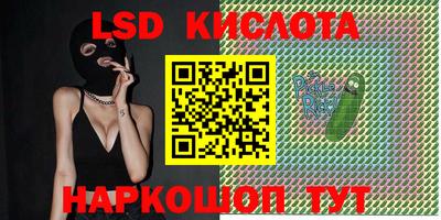 прущие крисы Новодвинск