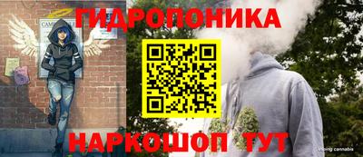 прущие крисы Новодвинск
