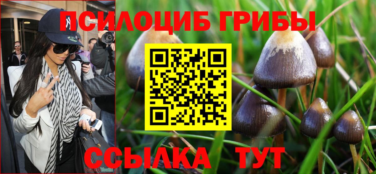 Псилоцибиновые грибы прущие грибы Чапаевск