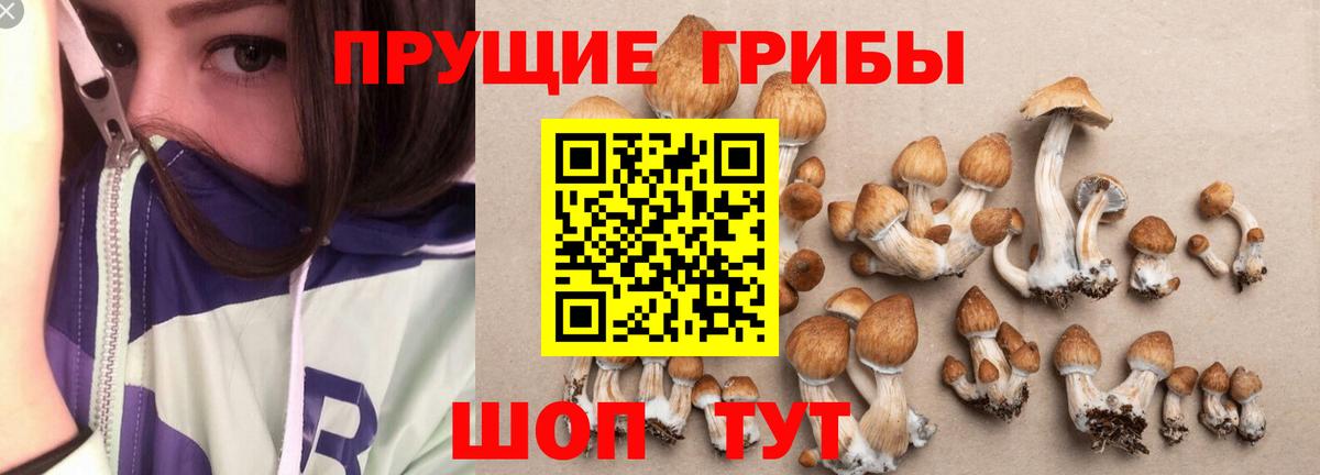 Галлюциногенные грибы прущие грибы  Вход с VPN  Чапаевск 